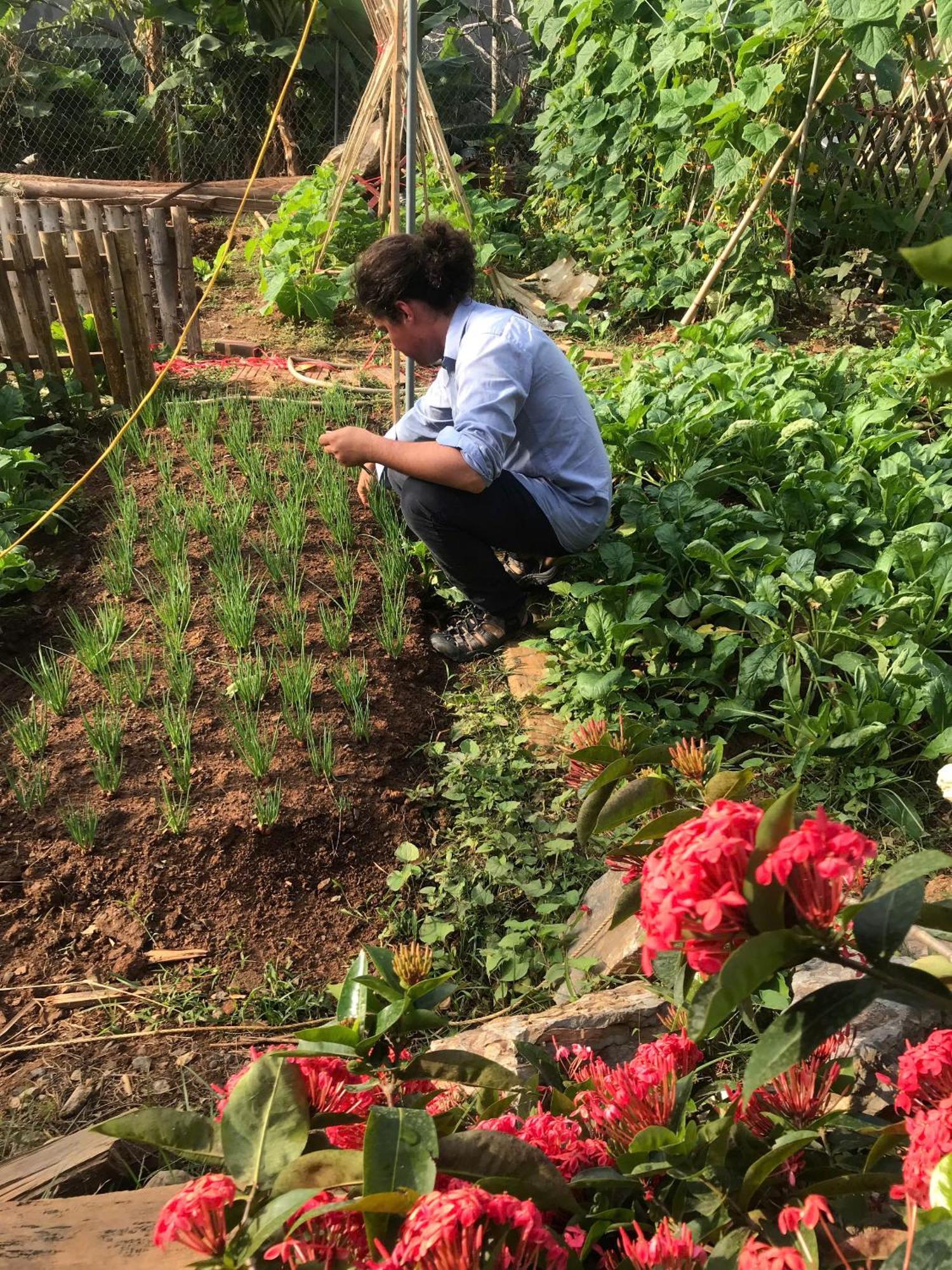 Bee Lucky Homestay Hien Hao Exteriör bild