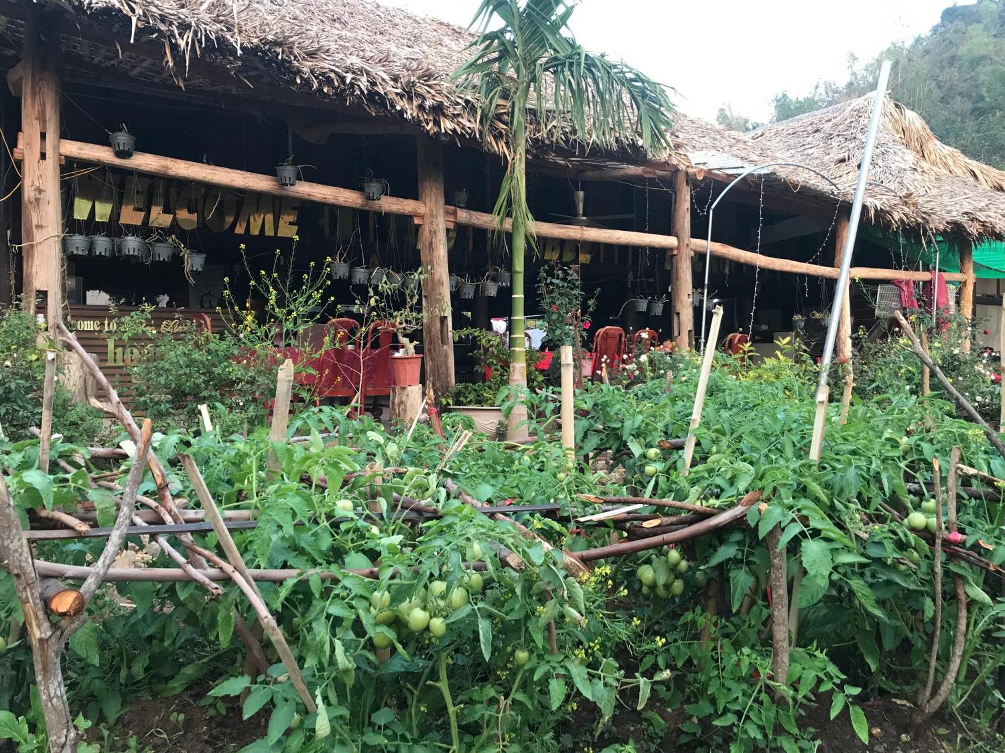 Bee Lucky Homestay Hien Hao Exteriör bild